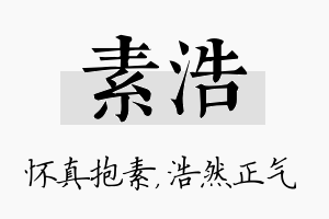 素浩名字的寓意及含义