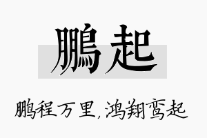 鹏起名字的寓意及含义