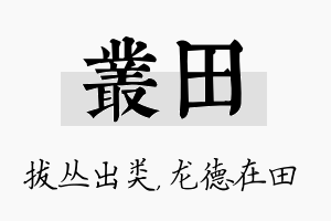 丛田名字的寓意及含义