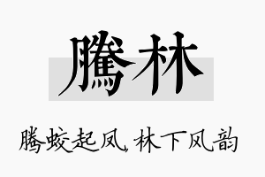 腾林名字的寓意及含义