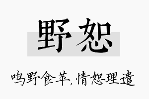 野恕名字的寓意及含义