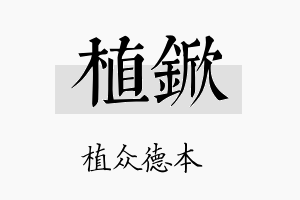 植锨名字的寓意及含义