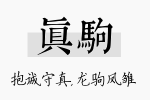 真驹名字的寓意及含义