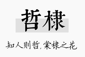 哲棣名字的寓意及含义