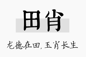 田肖名字的寓意及含义