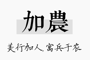 加农名字的寓意及含义