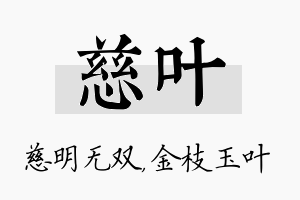 慈叶名字的寓意及含义