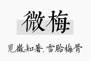 微梅名字的寓意及含义