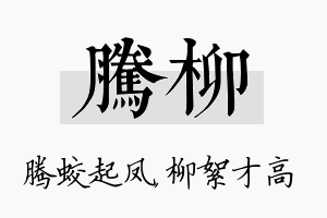 腾柳名字的寓意及含义