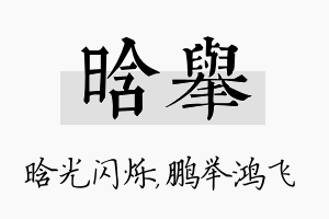 晗举名字的寓意及含义