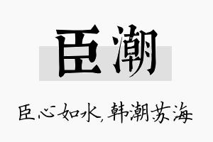 臣潮名字的寓意及含义