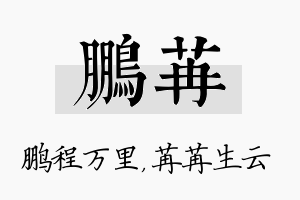 鹏苒名字的寓意及含义