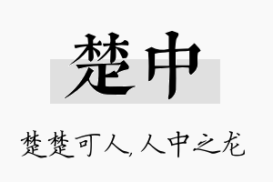 楚中名字的寓意及含义