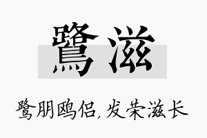 鹭滋名字的寓意及含义