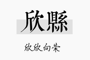 欣县名字的寓意及含义