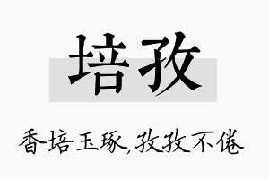 培孜名字的寓意及含义