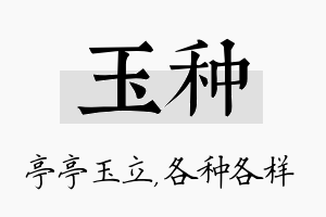 玉种名字的寓意及含义