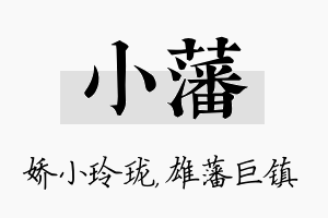 小藩名字的寓意及含义