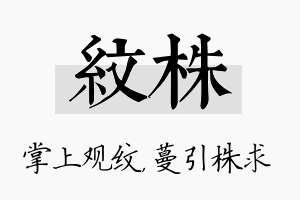 纹株名字的寓意及含义