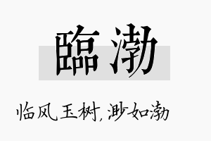 临渤名字的寓意及含义