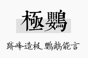 极鹦名字的寓意及含义