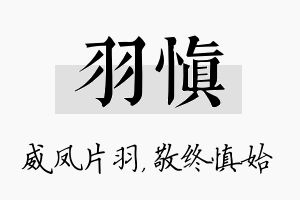 羽慎名字的寓意及含义