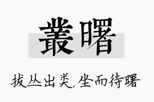 丛曙名字的寓意及含义