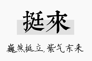 挺来名字的寓意及含义