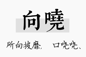 向哓名字的寓意及含义