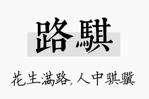 路骐名字的寓意及含义