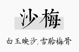 沙梅名字的寓意及含义