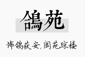 鸽苑名字的寓意及含义