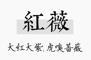 红薇名字的寓意及含义