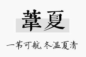 苇夏名字的寓意及含义