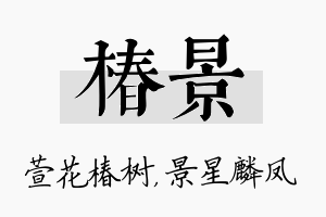 椿景名字的寓意及含义