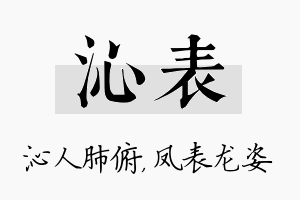 沁表名字的寓意及含义