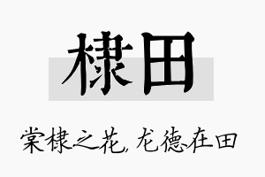 棣田名字的寓意及含义