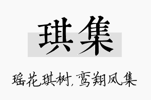 琪集名字的寓意及含义