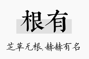 根有名字的寓意及含义