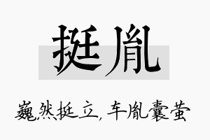 挺胤名字的寓意及含义