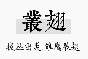 丛翅名字的寓意及含义