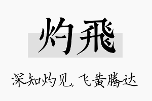 灼飞名字的寓意及含义