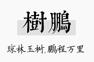 树鹏名字的寓意及含义