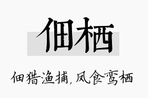 佃栖名字的寓意及含义