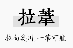 拉苇名字的寓意及含义