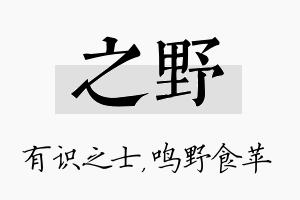 之野名字的寓意及含义