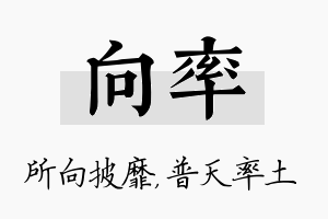 向率名字的寓意及含义