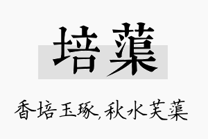 培蕖名字的寓意及含义