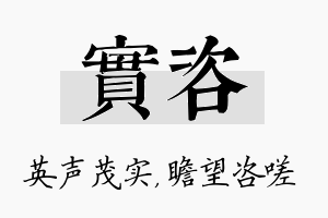 实咨名字的寓意及含义