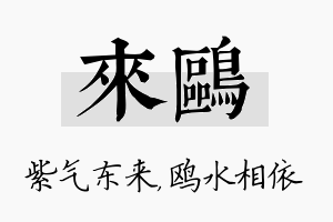 来鸥名字的寓意及含义